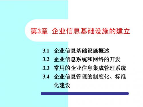 企业信息技术基础设施建设