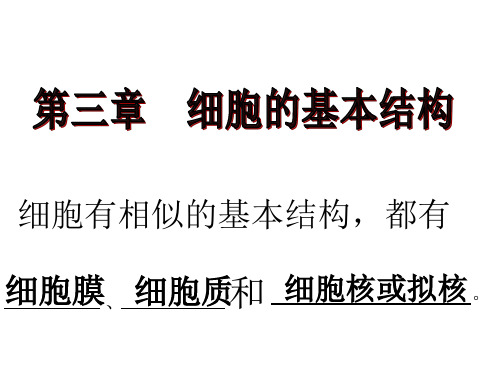 人教版高一生物：细胞膜系统的边界优秀ppt课件