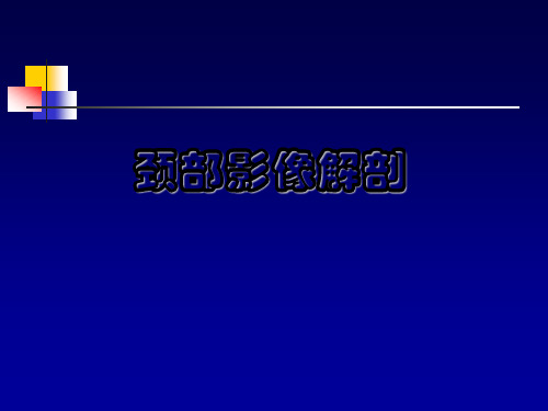 颈部断面与影像解剖课件