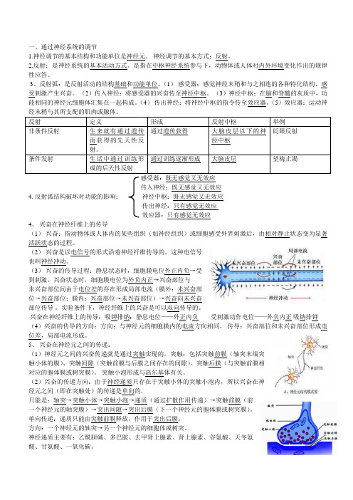 神经调节与免疫调节..