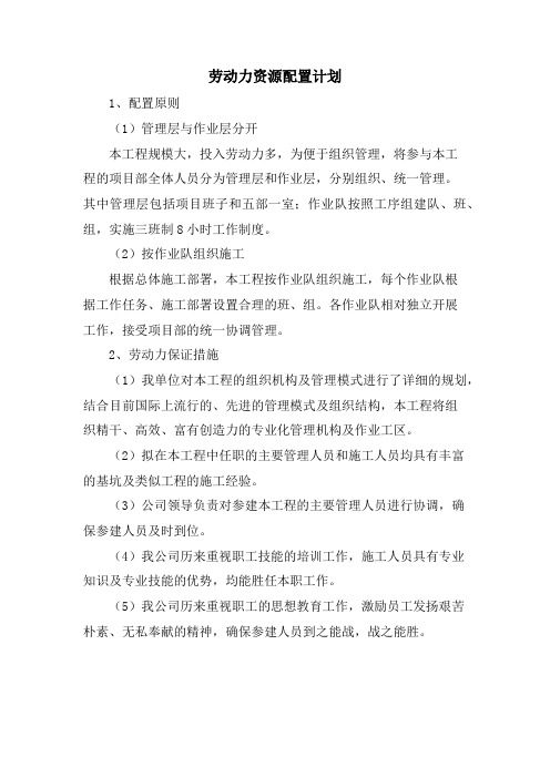 劳动力资源配置计划