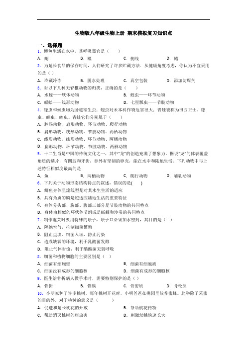 生物版八年级生物上册 期末模拟复习知识点