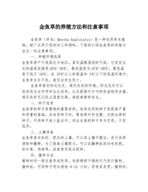 金鱼草的养殖方法和注意事项