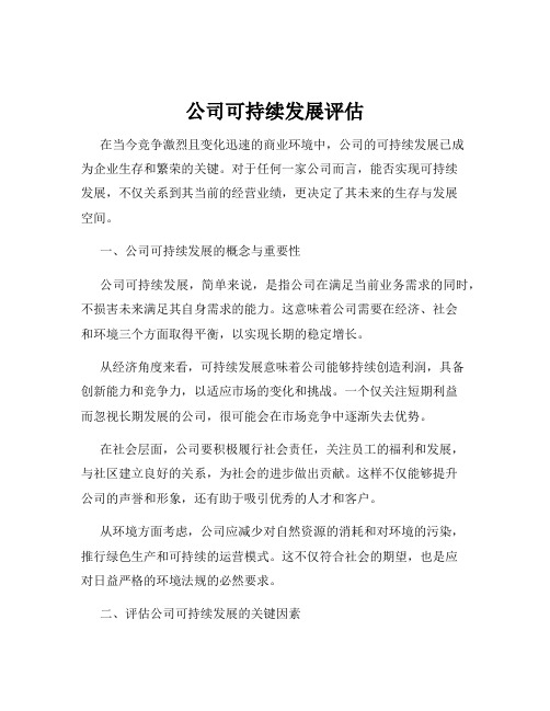 公司可持续发展评估