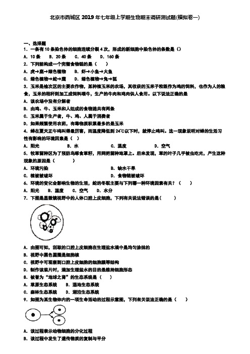 北京市西城区2019年七年级上学期生物期末调研测试题(模拟卷一)