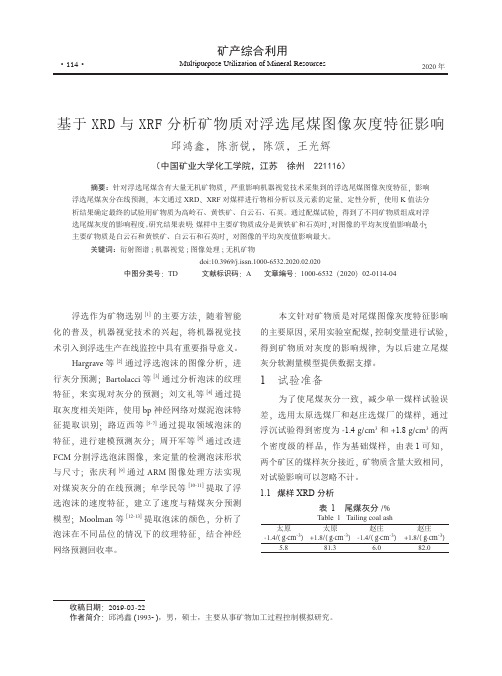 基于xrd与xrf分析矿物质对浮选尾煤图像灰度特征影响