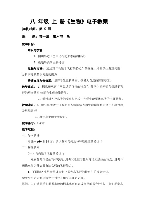 人教版初中生物八年级上册5.1.6 鸟 教案 (1)