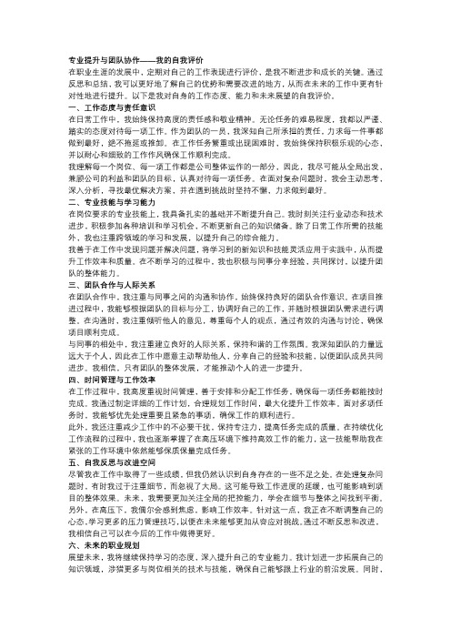 专业提升与团队协作——我的自我评价