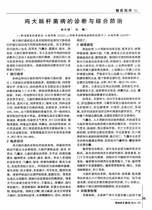 鸡大肠杆菌病的诊断与综合防治