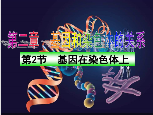 高中生物必修二：第二章第二节基因在染色体上 课件(共32张PPT)