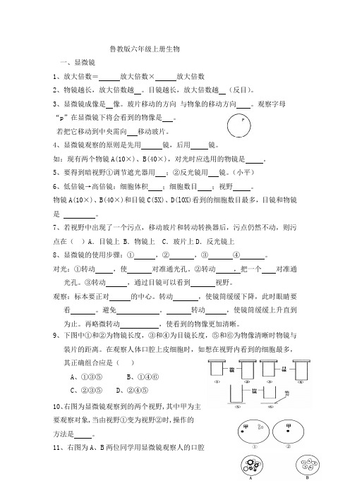 六年级上册生物知识整理