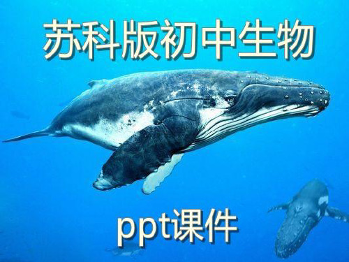 新版苏科版初中生物精选《生物体的基本结构》第一课时预习导学PPT课件