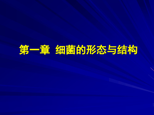 医学免疫学：第一章 细菌的形态和结构