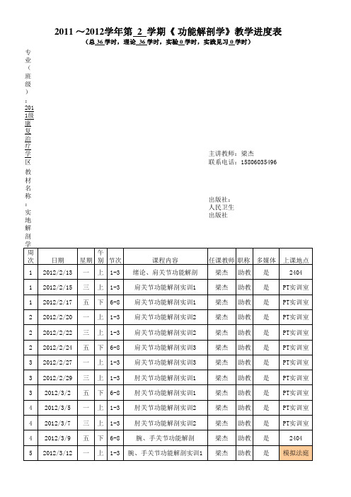 2011康复治疗学《功能解剖学》