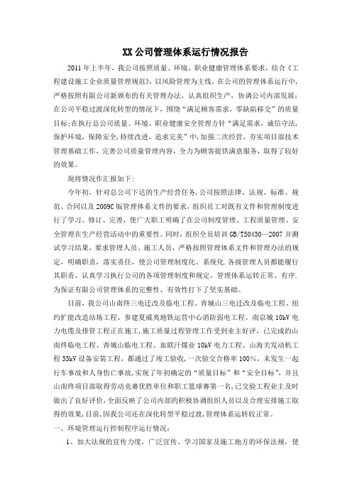 XX公司管理体系运行情况报告