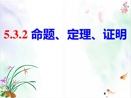 人教版初中数学《命题、定理、证明》PPT全文课件