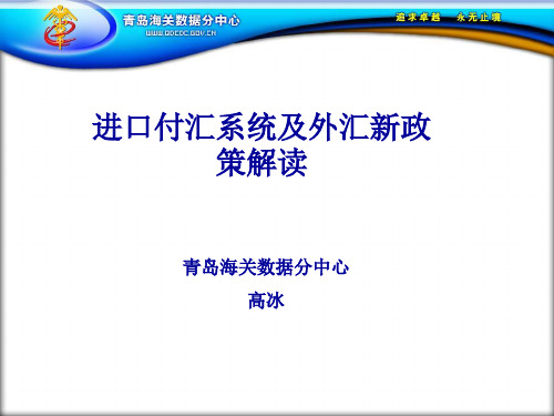 2进口付汇系统及外汇新政策解读