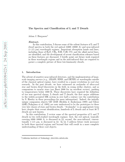 The Spectra and Classification of L and T Dwarfs