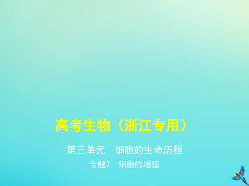 年高考3年模拟A版浙江省高考生物总复习专题7细胞的增殖课件