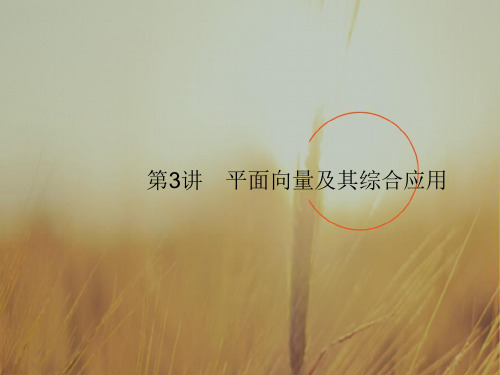 最新-2021浙江高考数学理二轮专题复习课件:第一部分 专题整合高频突破 专题三 三角函数、解三角形