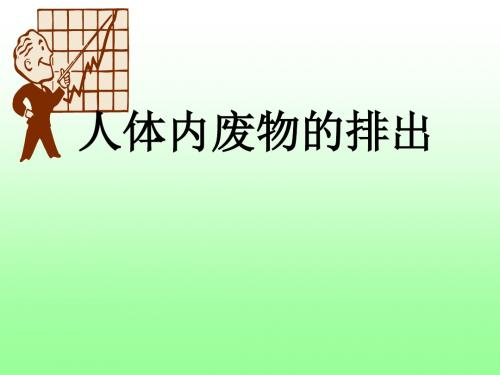 【初中生物】人体内废物的排出ppt3