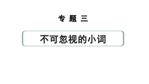 2024中考英语二轮复习第二部分专题三第1讲代词(课件)