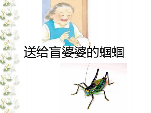 送给盲婆婆的蝈蝈课件ppt