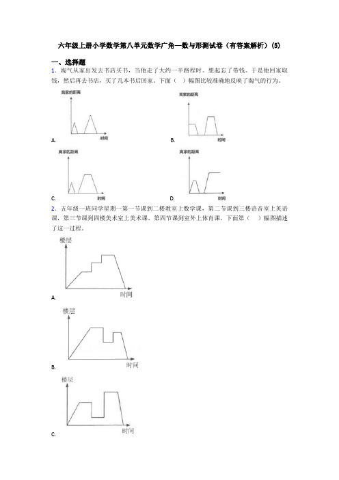 六年级上册小学数学第八单元数学广角—数与形测试卷(有答案解析)(5)