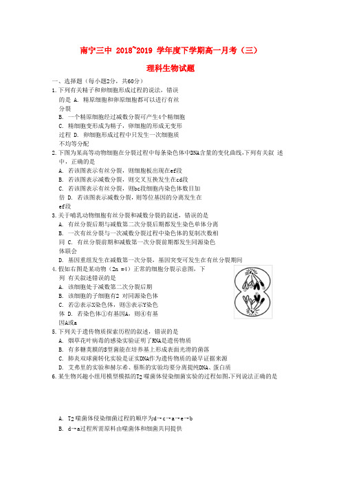 广西南宁市第三中学2018-2019学年高一生物下学期第三次月考试题
