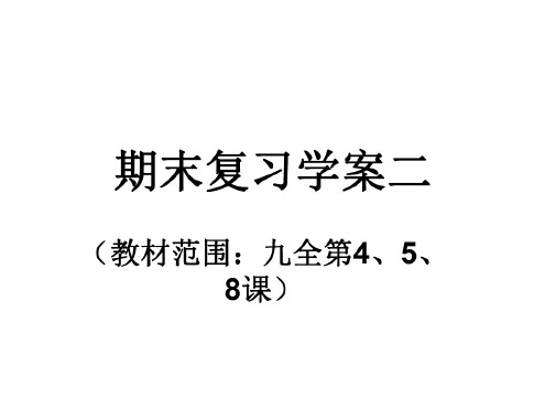 九年级政治下册期末复习