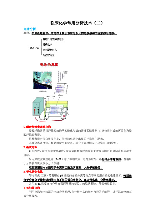 生化分析技术(二)--电泳分析、离心技术