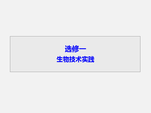 高考生物 一轮复习 生物技术实践 传统发酵技术的应用(选修1)