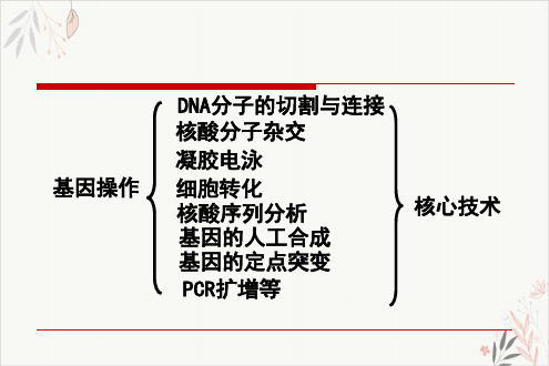 现代分子生物学技术PPT.