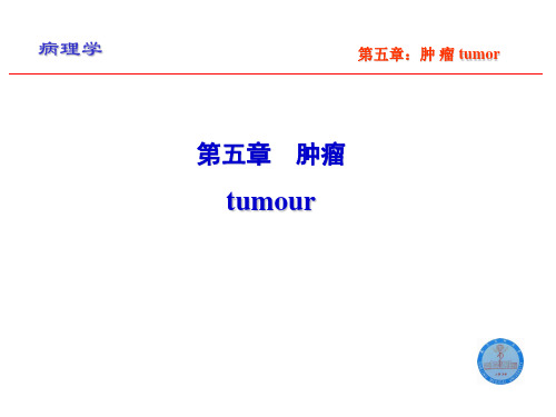 病理学课件肿瘤tumour