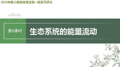 2024年新人教版高考生物一轮复习讲义  第9单元 第6课时 生态系统的能量流动