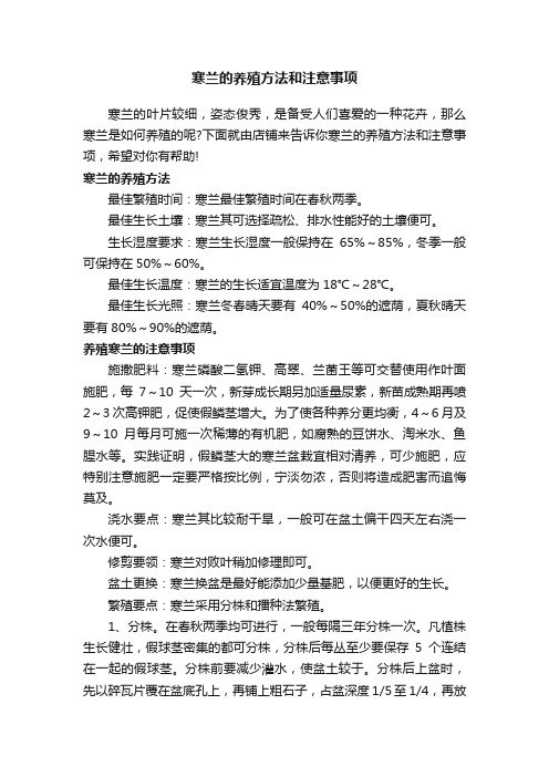 寒兰的养殖方法和注意事项