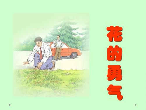 20.《花的勇气》课件