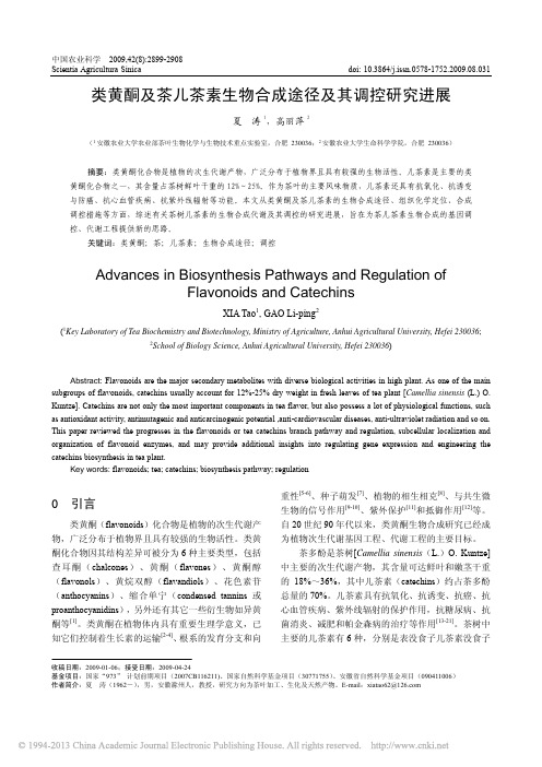 类黄酮及茶儿茶素生物合成途径及其调控研究进展