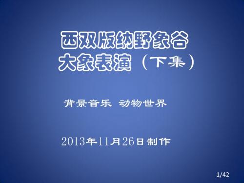 西双版纳野象谷大象表演(下集)