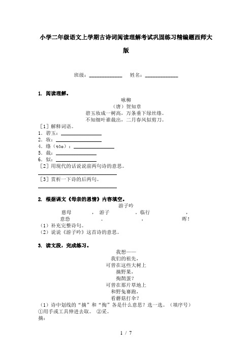 小学二年级语文上学期古诗词阅读理解考试巩固练习精编题西师大版