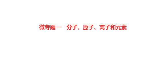 微专题一分子、原子、离子和元素  课件-八年级化学鲁教版(五四学制)全一册