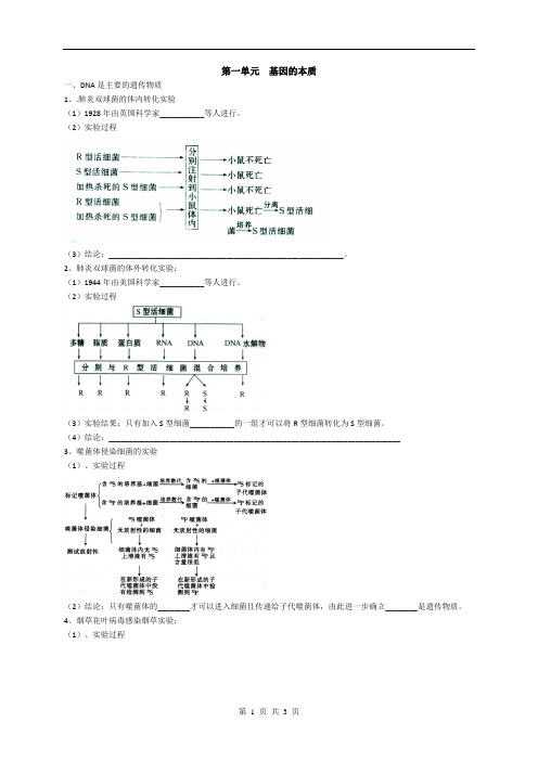 专题2 基因的本质和表达-高考生物必修知识点归纳(默写版)