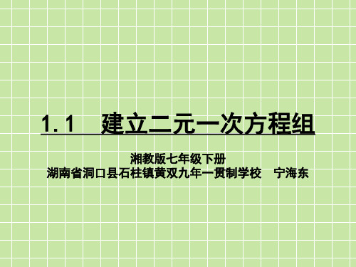 1.1建立二元一次方程组