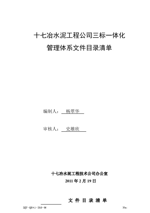 【实用文档类】大型知名水泥公司四标一体体系管理策划完整版