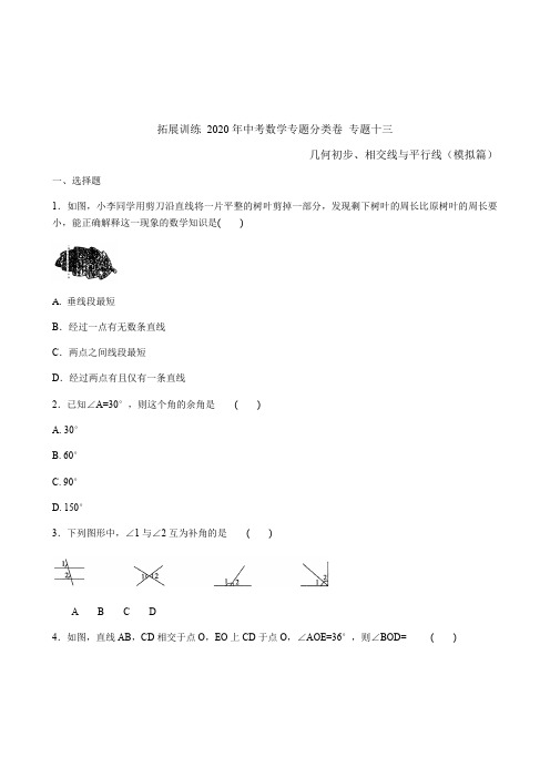 2020年中考数学专题分类卷 专题十三 几何初步、相交线与平行线(模拟篇)(含答案)