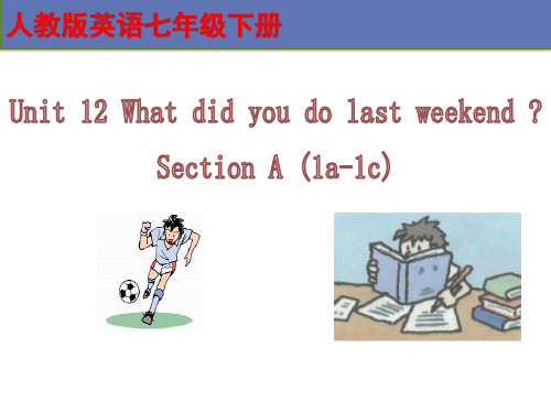 Unit12SectionA1a-1c说课课件下学期人教版七年级英语