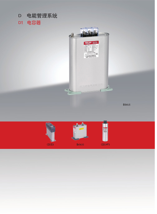 德力西电气 BSMJS 自愈式低电压并联电力电容器样本 说明书