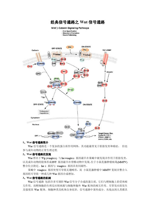 经典信号通路之Wnt信号通路