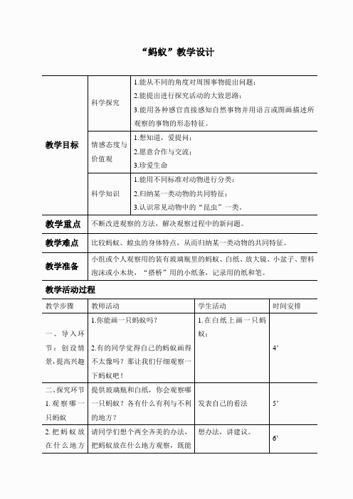 教科小学科学三上《2.5、蚂蚁》word教案(2)