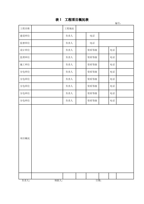 表1  工程项目概况表